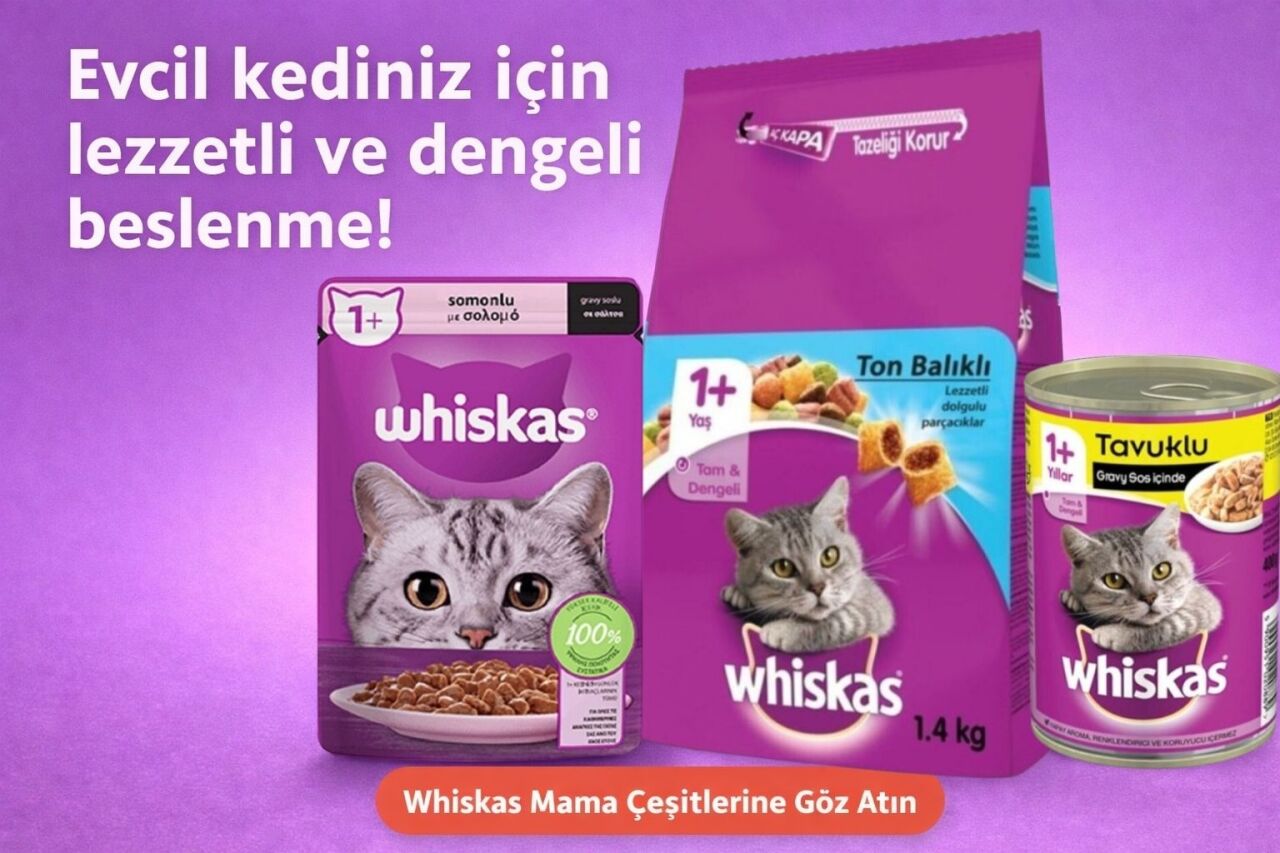 Evcil Kediler İçin Whiskas: Hangi Ürün Ne İşe Yarar?