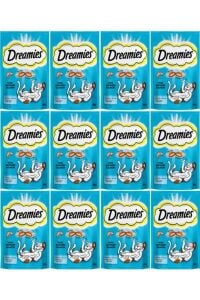 Whiskas Somonlu Kedi Ödül Maması 60 gr x 12 Adet