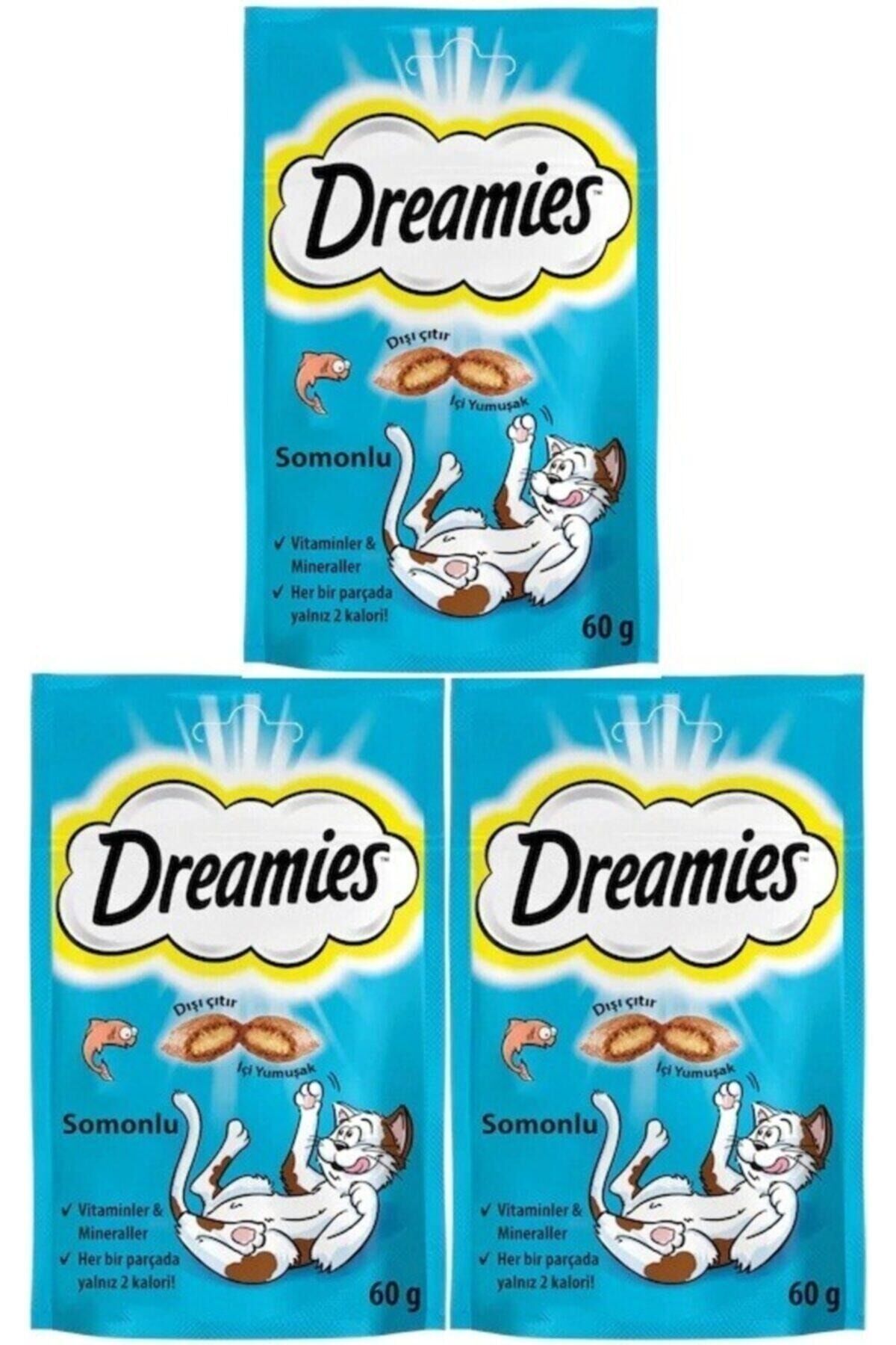 Whiskas Somonlu Kedi Ödül Maması 60 gr x 3 Adet