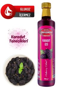 Doğal ve Katkısız Karadut Özü 680g