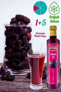 Doğal ve Katkısız Karadut Özü 680g