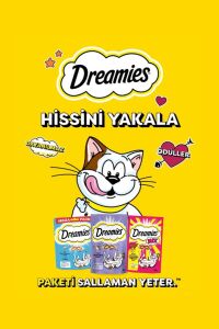 Dreamies Kedi Ödül Maması Karışık 60 gr x 24 Adet