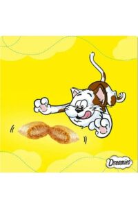 Dreamies Mix Somon Balıklı Ve Peynirli Kedi Ödülü 60 gr x 12 Adet
