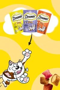 Dreamies Peynirli Kedi Ödül Maması 60 gr x 6 Adet