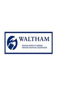 Dreamıes Tavuklu Kedı Odulu Maması 60 gr x 6 Adet