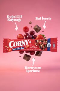 Kakao ve Kırmızı Meyveli Doğal Lif Kaynağı Tam Tahıl Bar 17g x 12 Adet