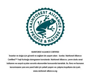Tchibo Cafissimo Espresso Brasil Kapsül Kahve