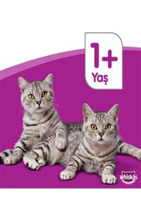 Dreamıes Tavuklu Kedı Odulu Maması 6lı