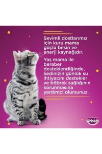Dreamıes Tavuklu Kedı Odulu Maması 6lı