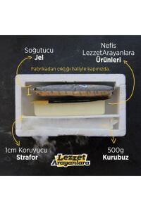 Hazine Zengin Dem Demlik Süzen Poşet Çay 15 gr 30 Adet Veya 8 gr 60 Adet
