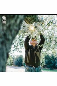 Tariş Kuzey Ege Natürel Sızma Zeytinyağı 5000 ml