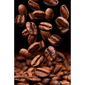 Mehmet Efendi Caffe Espresso Blend No:3 Çekirdek Kahve 1000 gr