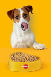 Pedigre Biscrok Köpek Ödül Bisküvisi 500 grx 2 Adet