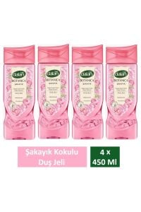 Duş Jeli Botanica Şakayık 450 Ml x 4 Adet