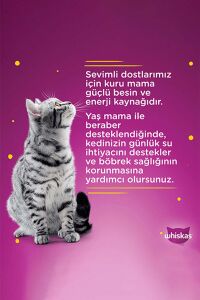 Whiskas Konserve Sığırlı Kedi Mama 400 gr x 24 Adet