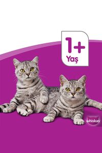 Whiskas Konserve Sığırlı Kedi Mama 400 gr x 24 Adet