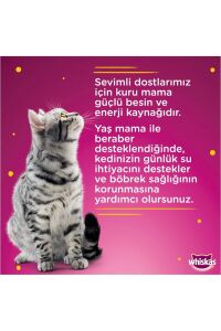 Whiskas Ton Balıklı Yetişkin Kedi Konserve Yaş Maması 400 gr x 24 Adet