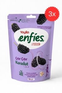 Yayla Freeze Dried Çıtır Çıtır Karadut 15 gr x 3 Adet