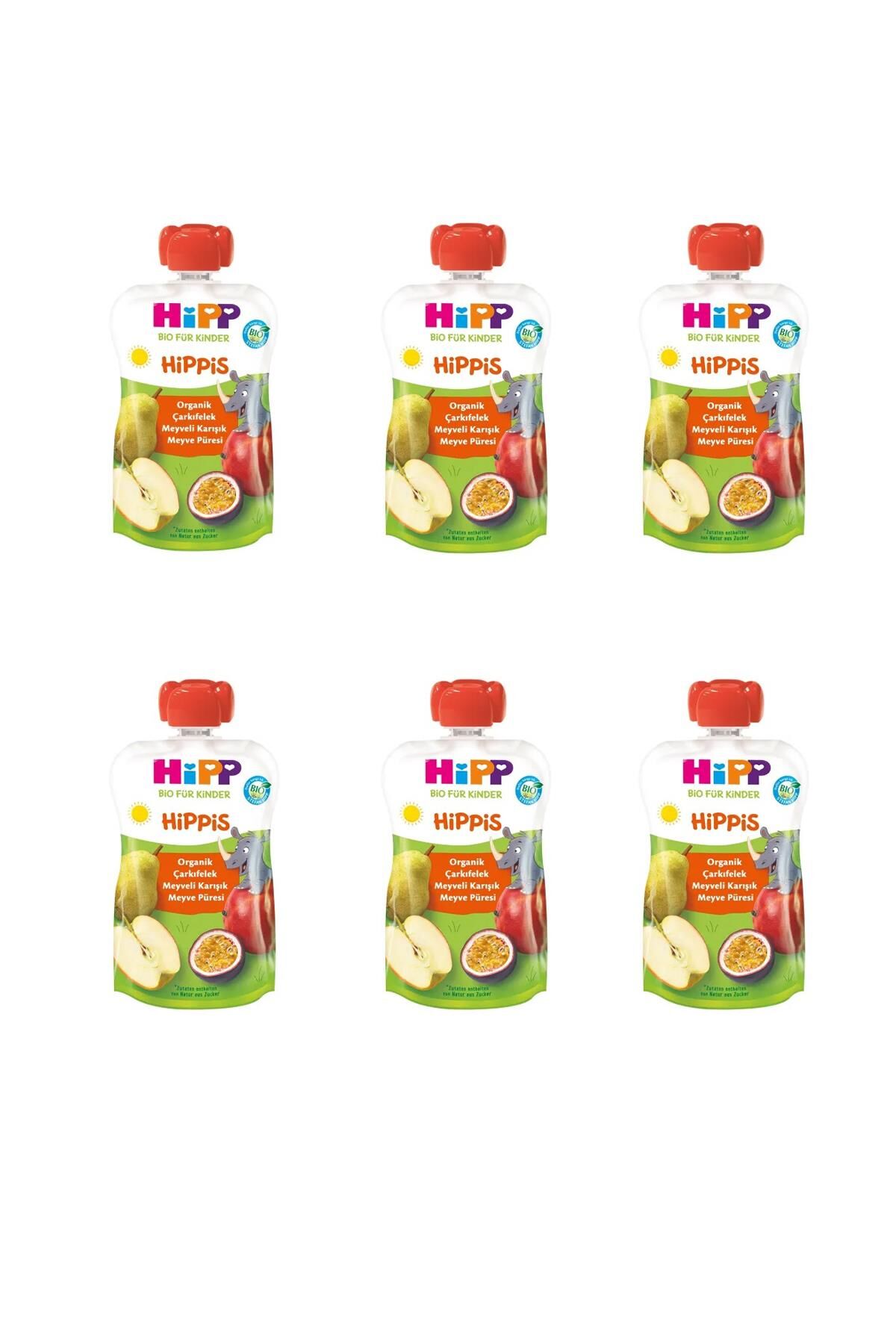 HiPP Organik Çarkıfelek Karışık Meyve Püresi 100 g x 6 Adet