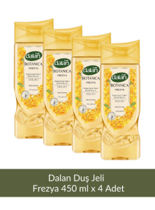 Dalan Fresh Frezya Duş Jeli 450 ml x 4 Adet