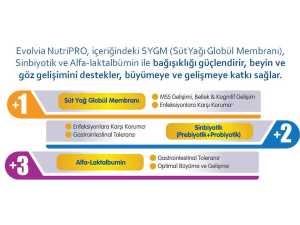 Evolvia NutriPro 2 Bebek Maması 800 gr 6lı Paket