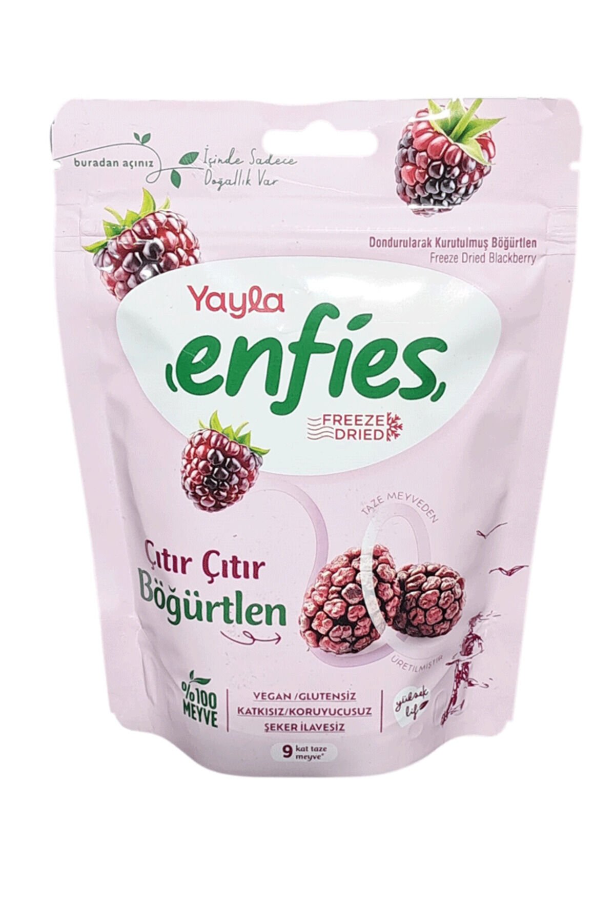 YAYLA ENFİES KURUTULMUŞ BÖĞÜRTLEN 15 GR