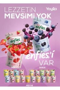 Yayla Enfies Freeze Dried Dondurularak Kurutulmuş Çıtır Meyve-Böğürtlen 15 Gr
