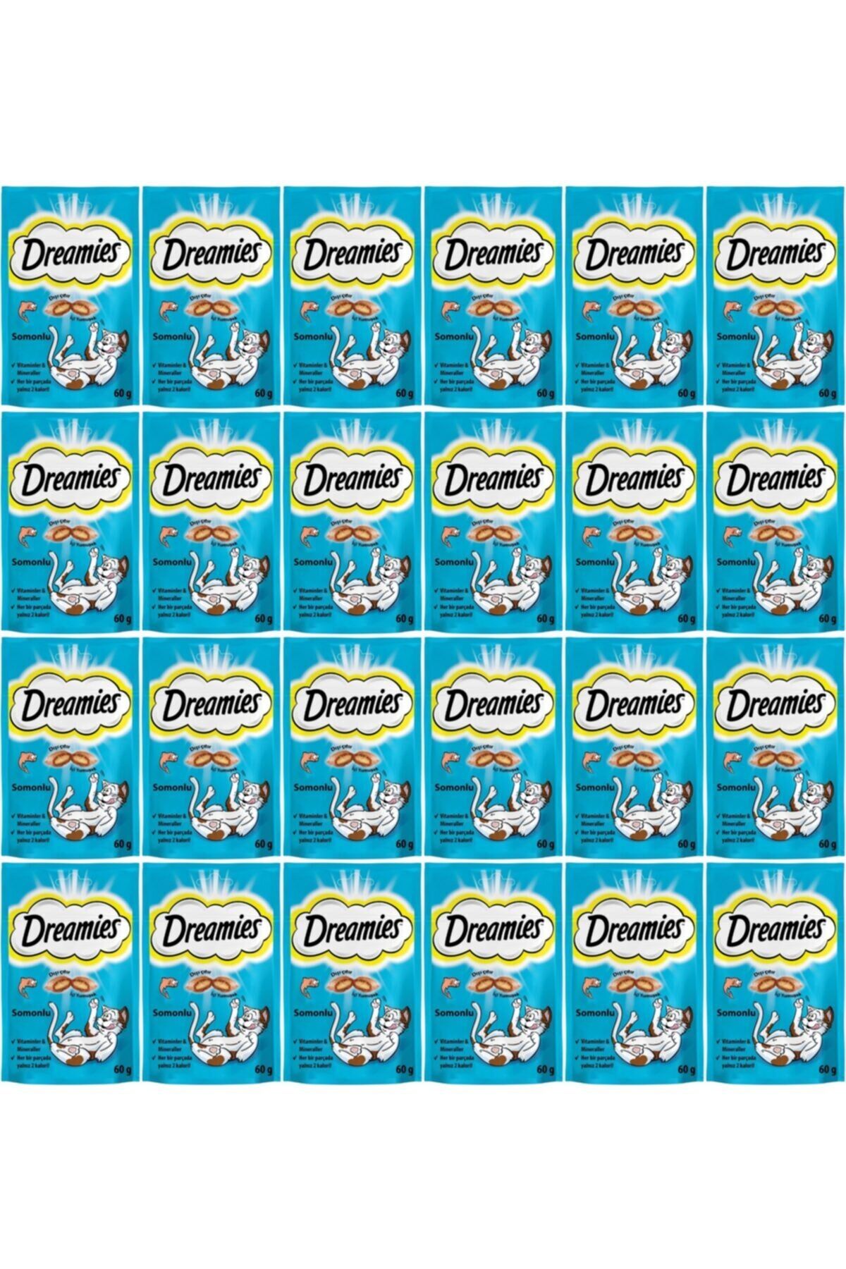 Whiskas Somonlu Kedi Ödül Maması 60 Gr x 24 Adet