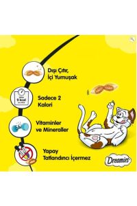 Whiskas Somonlu Kedi Ödül Maması 60 Gr x 24 Adet